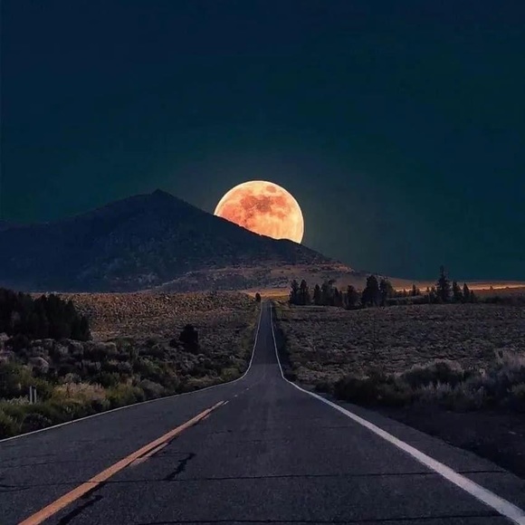 Meet your Posher, Almost New Store! - Picture 1 of 1